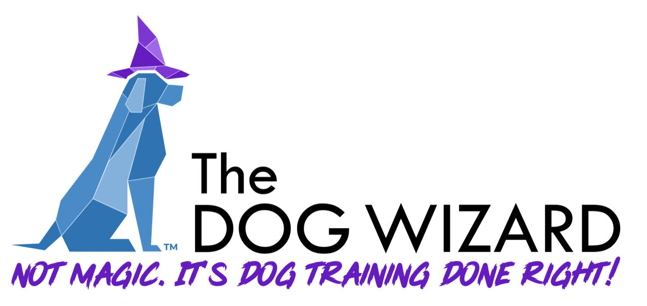 The Dog Wizard - Not Magic. It's Dog Training Done Right.